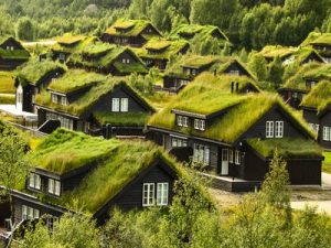 hmaeau de maisons avec des toitures vertes